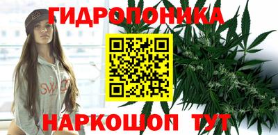 круглые Камышлов