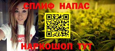 сатива Канаш