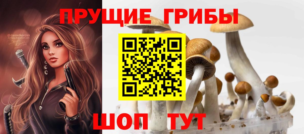 Псилоцибиновые грибы MAGIC MUSHROOMS  Вход с VPN  где можно купить   Кудрово 
