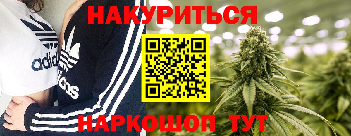 Бошки марихуана Ganja  Вход с VPN  Шишки марихуана сатива  Кудрово  Конопля гибрид 